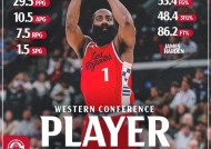 开云权威入口-哈登新星比赛局势复杂表现突出，阿森纳前途光明！